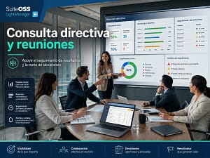 lightmanager consulta directiva y reuniones